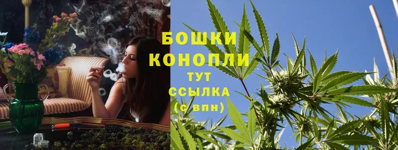 Конопля OG Kush  Кимовск 